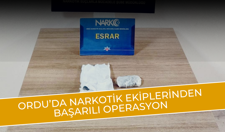 Ordu’da Narkotik Ekiplerinden Başarılı Operasyon
