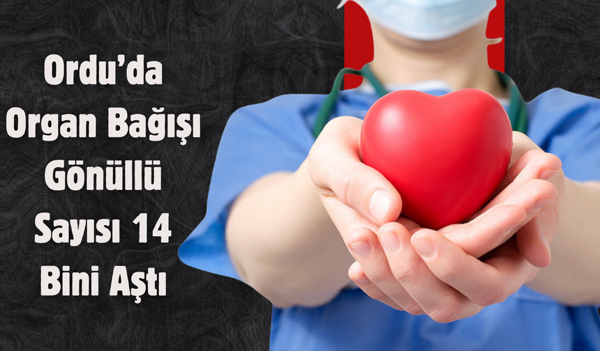 Ordu’da Organ Bağışı Gönüllü Sayısı 14 Bini Aştı