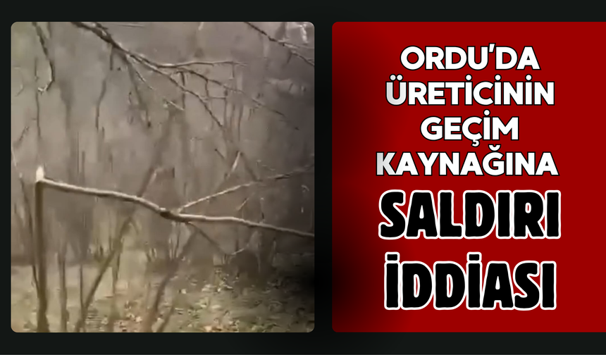Ordu’da Üreticinin Geçim Kaynağına Saldırı İddiası
