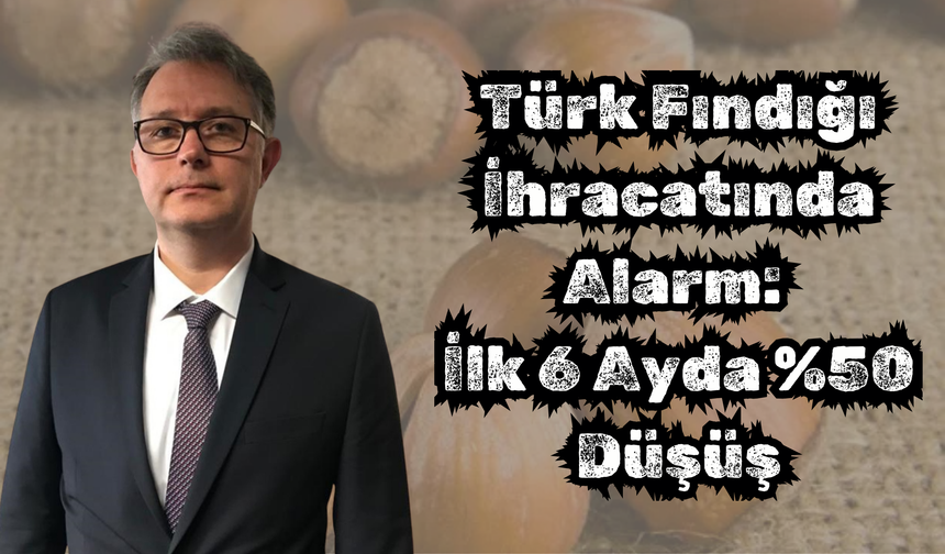 Türk Fındığı İhracatında Alarm: İlk 6 Ayda %50 Düşüş