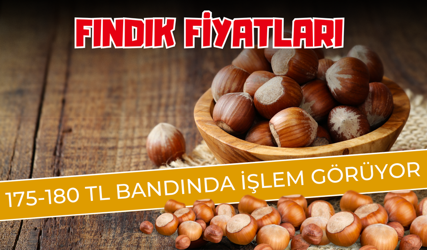 Fındık Fiyatları 175-180 TL Bandında İşlem Görüyor