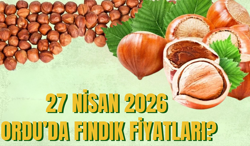 27 Nisan 2026 Ordu’da Fındık Fiyatları?