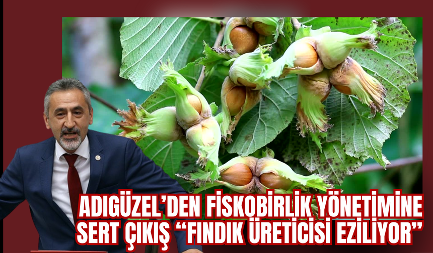 Adıgüzel’den Fiskobirlik Yönetimine Sert Çıkış: “Fındık Üreticisi Eziliyor”