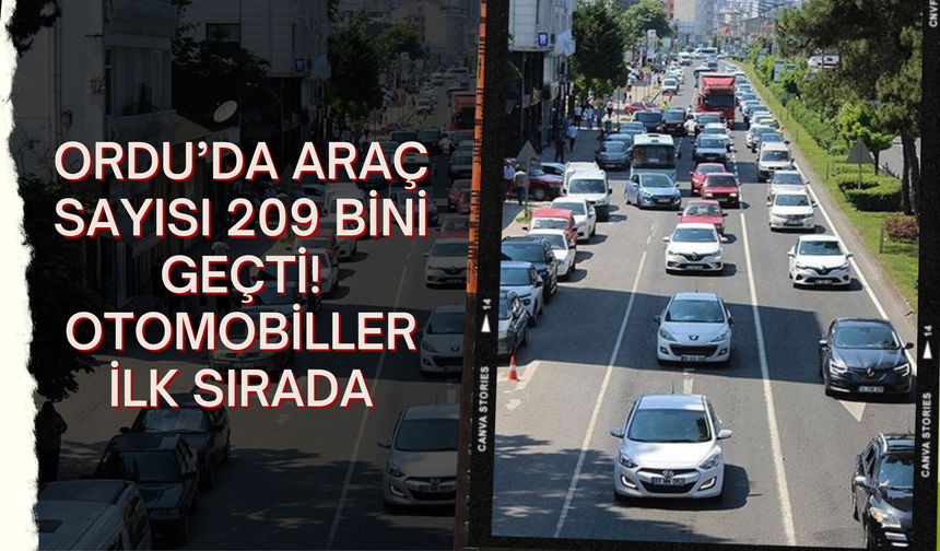 Ordu’da Araç Sayısı 209 Bini Geçti: Otomobiller İlk Sırada