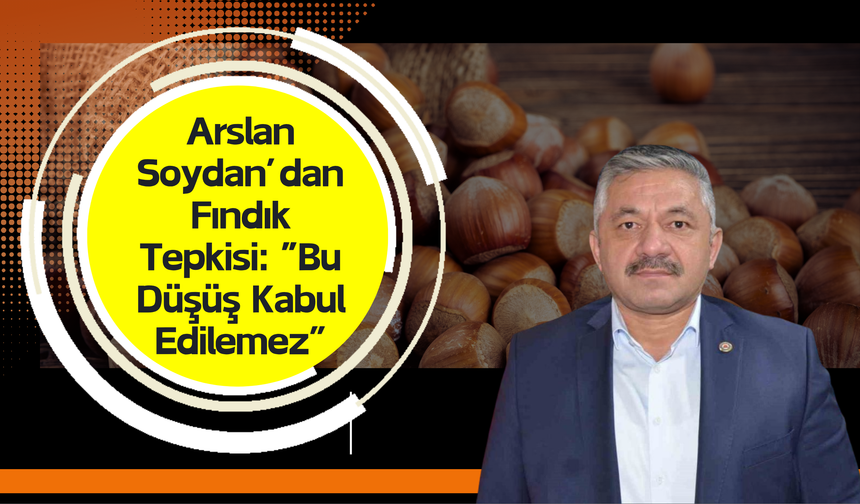 Arslan Soydan’dan Fındık Tepkisi: “Bu Düşüş Kabul Edilemez”