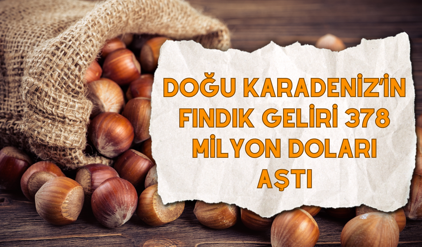 Doğu Karadeniz’in Fındık Geliri 378 Milyon Doları Aştı