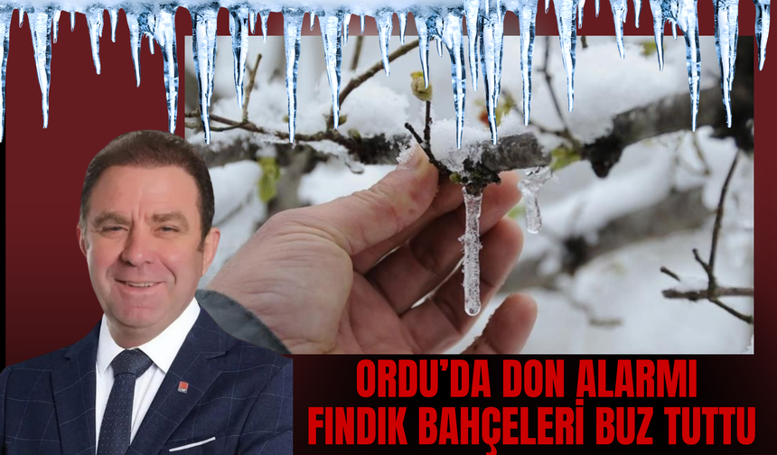 Ordu’da Don Alarmı: Fındık Bahçeleri Buz Tuttu