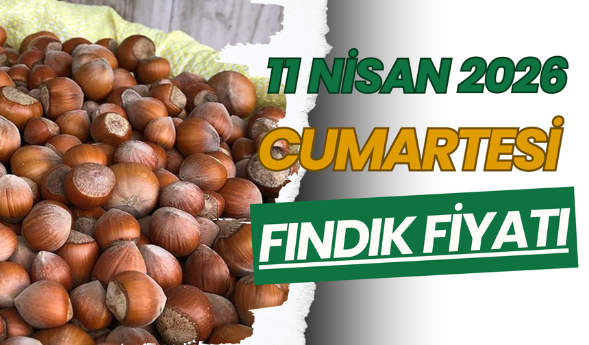 11 Nisan 2026 Cumartesi Fındık Fiyatı
