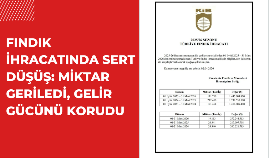FINDIK İHRACATINDA SERT DÜŞÜŞ: MİKTAR GERİLEDİ, GELİR GÜCÜNÜ KORUDU