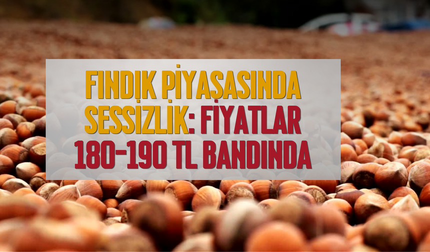 Fındık Piyasasında Sessizlik: Fiyatlar 180-190 TL Bandında
