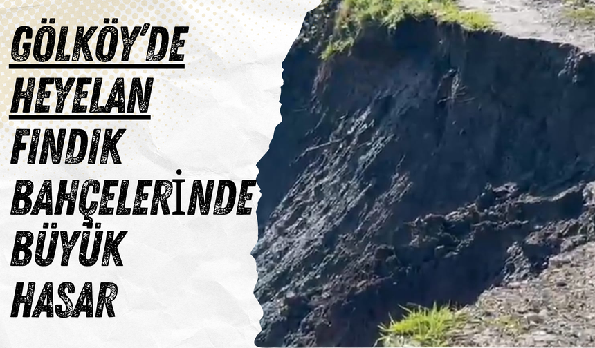 Gölköy’de Heyelan: Fındık Bahçelerinde Büyük Hasar