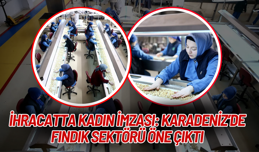İhracatta Kadın İmzası: Karadeniz’de Fındık Sektörü Öne Çıktı