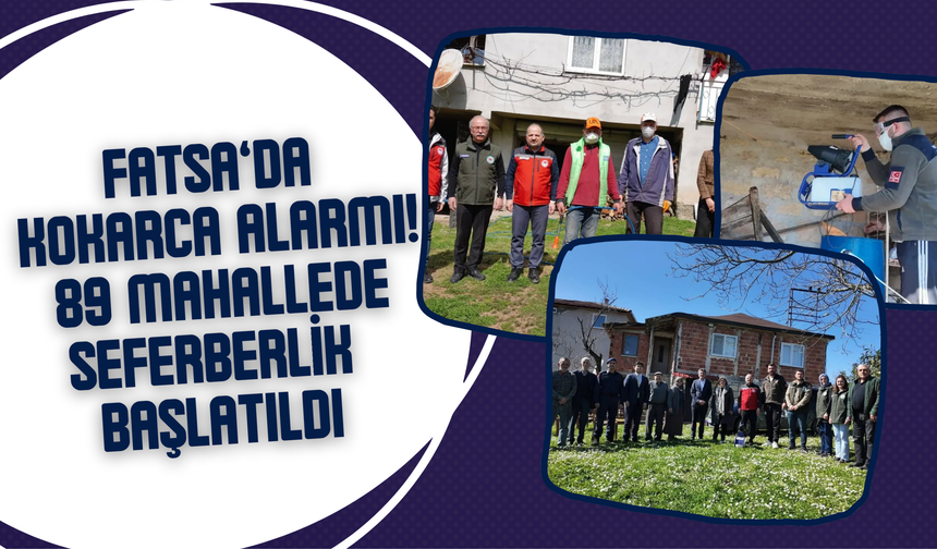 Fatsa’da Kokarca Alarmı: 89 Mahallede Seferberlik Başlatıldı