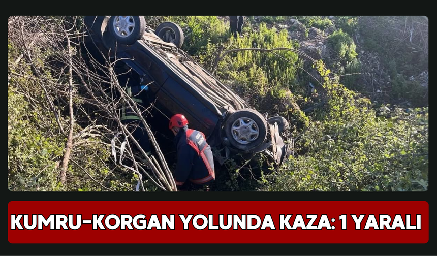 Kumru-Korgan Yolunda Kaza: 1 Yaralı