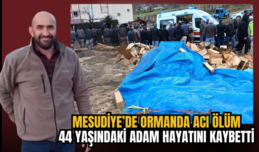 Mesudiye’de Ormanda Acı Ölüm: 44 Yaşındaki Adam Hayatını Kaybetti