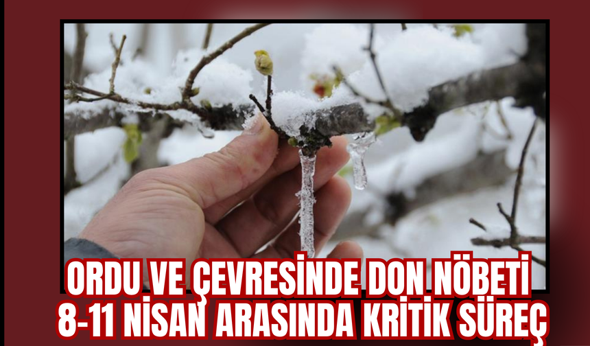 Ordu ve Çevresinde Don Nöbeti: 8–11 Nisan Arasında Kritik Süreç