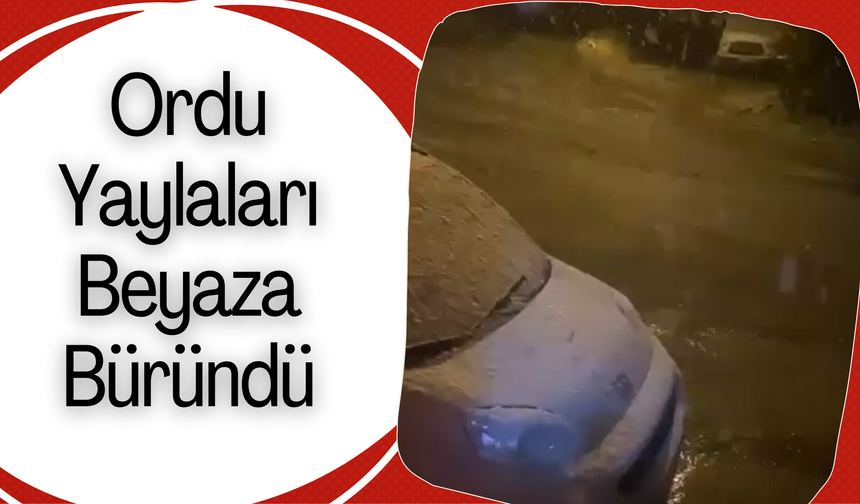 Ordu Yaylaları Beyaza Büründü