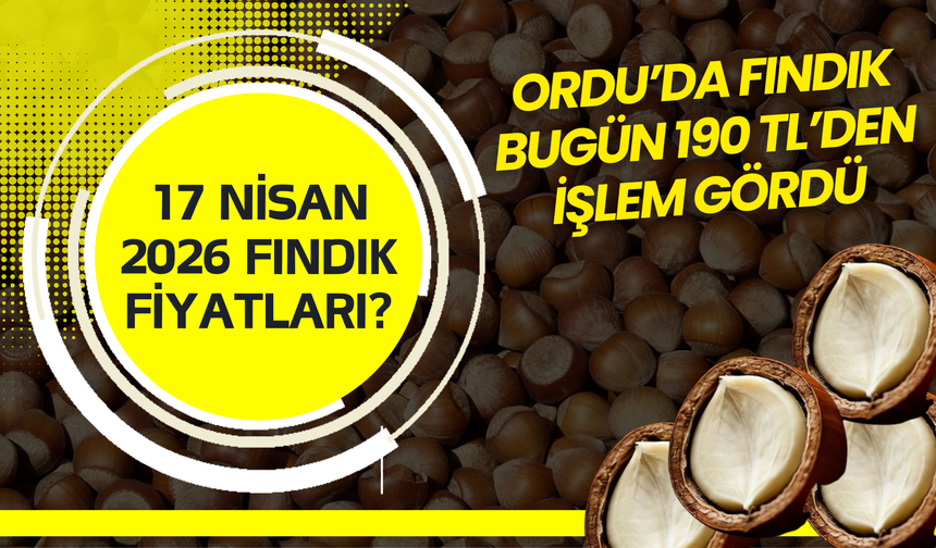 Ordu’da Fındık Bugün 190 TL’den İşlem Gördü