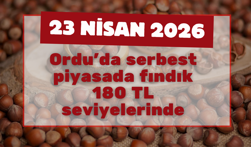 Ordu’da serbest piyasada fındık 180 TL seviyelerinde