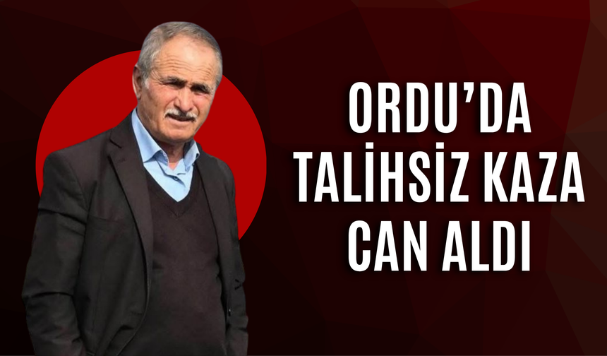 Ordu’da Talihsiz Kaza Can Aldı