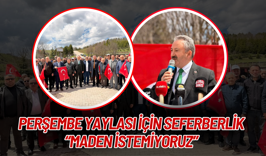 Perşembe Yaylası İçin Seferberlik: “Maden İstemiyoruz”