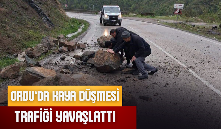Ordu’da Kaya Düşmesi Trafiği Yavaşlattı
