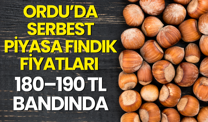 Ordu’da Serbest Piyasa Fındık Fiyatları 180–190 Tl Bandında