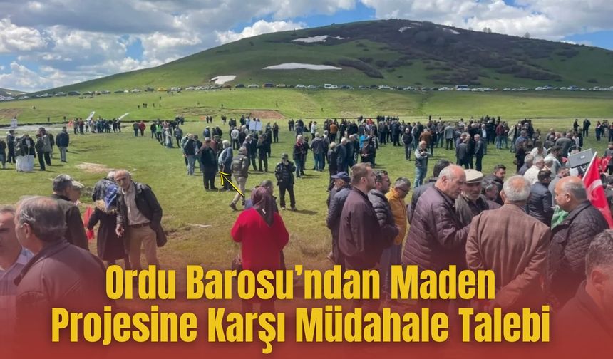 Ordu Barosu’ndan Maden Projesine Karşı Müdahale Talebi