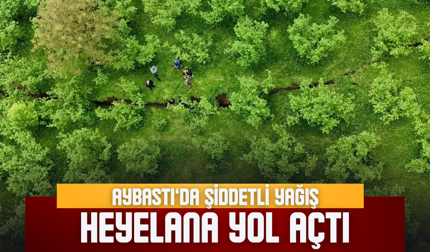 Aybastı’da Şiddetli Yağış Heyelana Yol Açtı