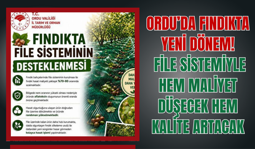 Ordu’da Fındıkta Yeni Dönem: File Sistemiyle Hem Maliyet Düşecek Hem Kalite Artacak