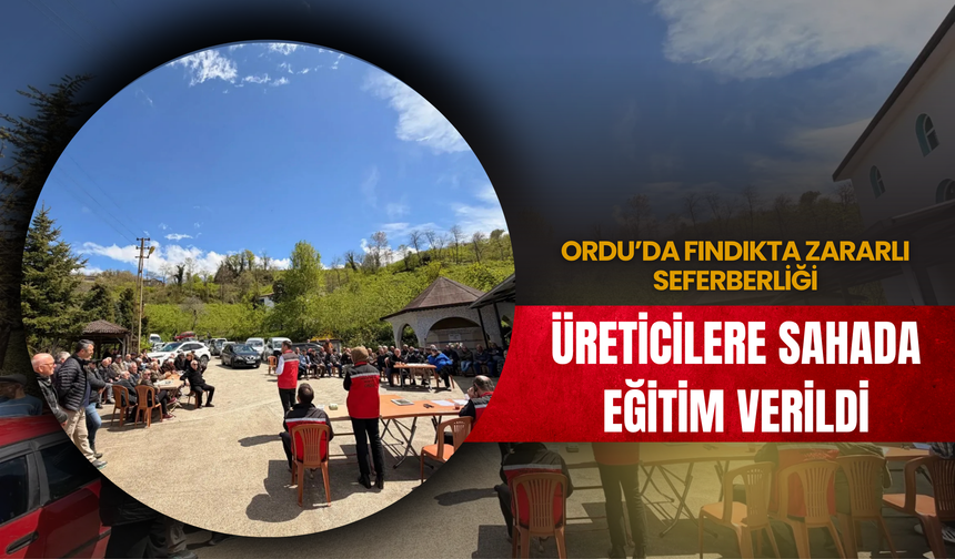 Ordu’da Fındıkta Zararlı Seferberliği: Üreticilere Sahada Eğitim Verildi