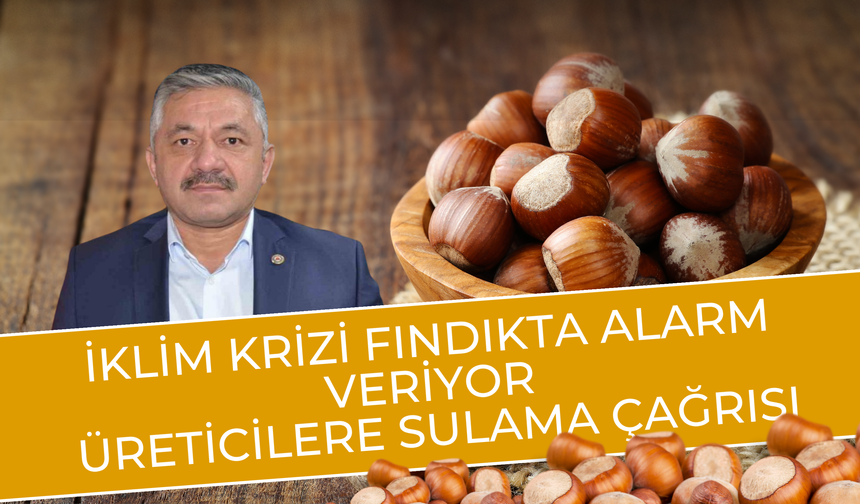 İklim Krizi Fındıkta Alarm Veriyor: Üreticilere Sulama Çağrısı