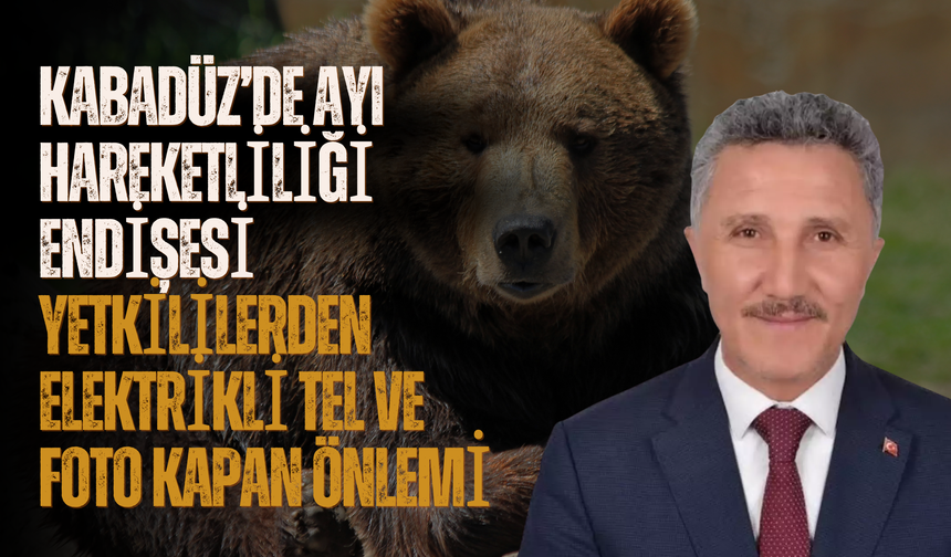 Kabadüz’de Ayı Hareketliliği Endişesi: Yetkililerden Elektrikli Tel ve Foto Kapan Önlemi