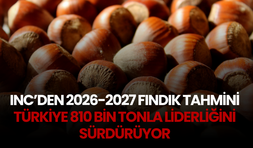 INC’den 2026-2027 Fındık Tahmini: Türkiye 810 Bin Tonla Liderliğini Sürdürüyor