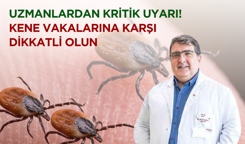 Uzmanlardan Kritik Uyarı: Kene Vakalarına Karşı Dikkatli Olun