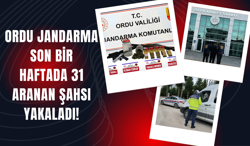 Ordu Jandarma Son Bir Haftada 31 Aranan Şahsı Yakaladı!
