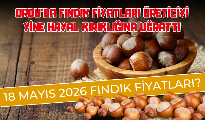 ORDU’DA FINDIK FİYATLARI ÜRETİCİYİ YİNE HAYAL KIRIKLIĞINA UĞRATTI