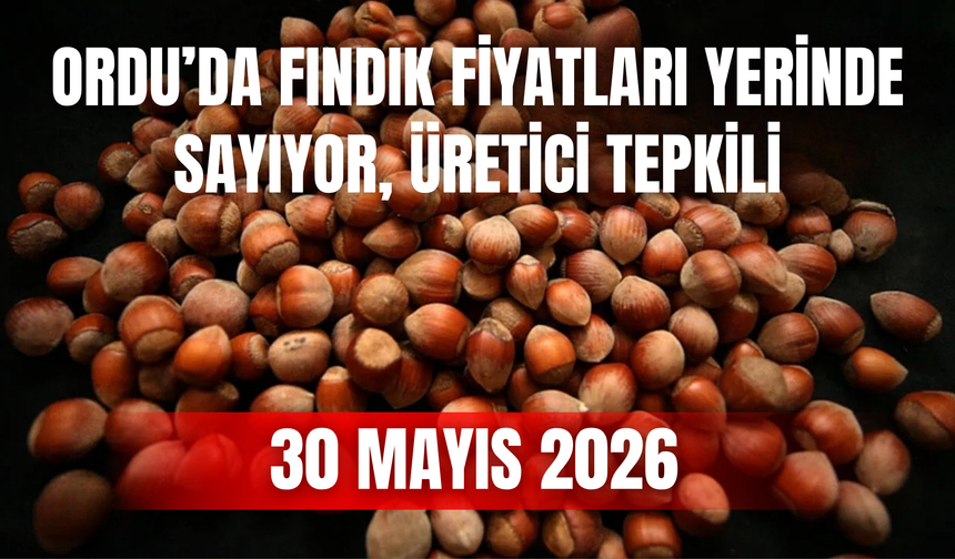 Ordu’da Fındık Fiyatları Yerinde Sayıyor, Üretici Tepkili