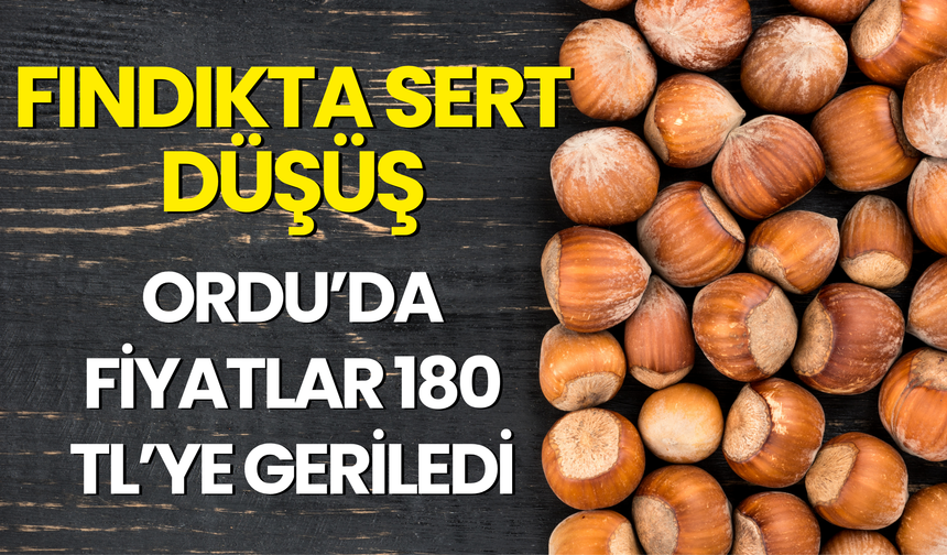 Fındıkta Sert Düşüş: Ordu’da Fiyatlar 180 TL’ye Geriledi