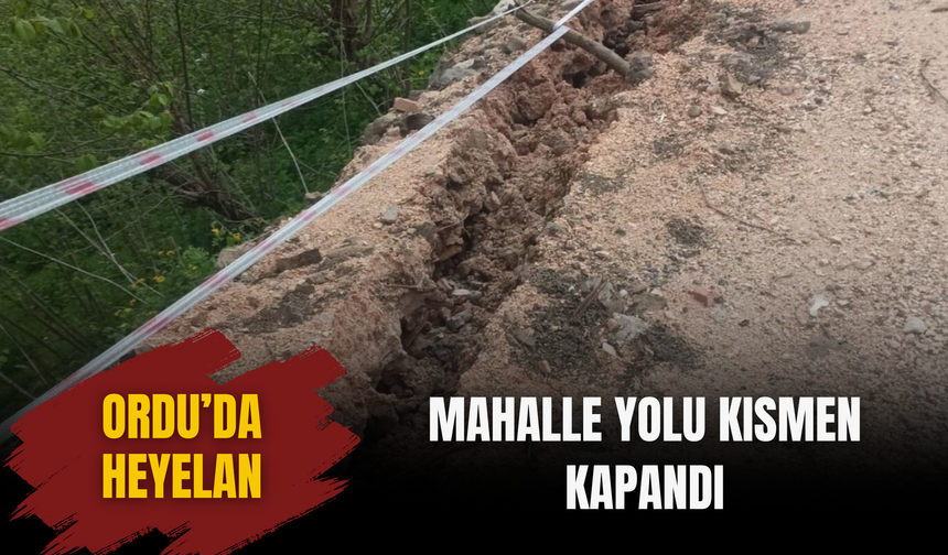 Ordu’da Heyelan: Mahalle Yolu Kısmen Kapandı