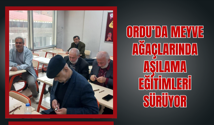 Ordu’da Meyve Ağaçlarında Aşılama Eğitimleri Sürüyor