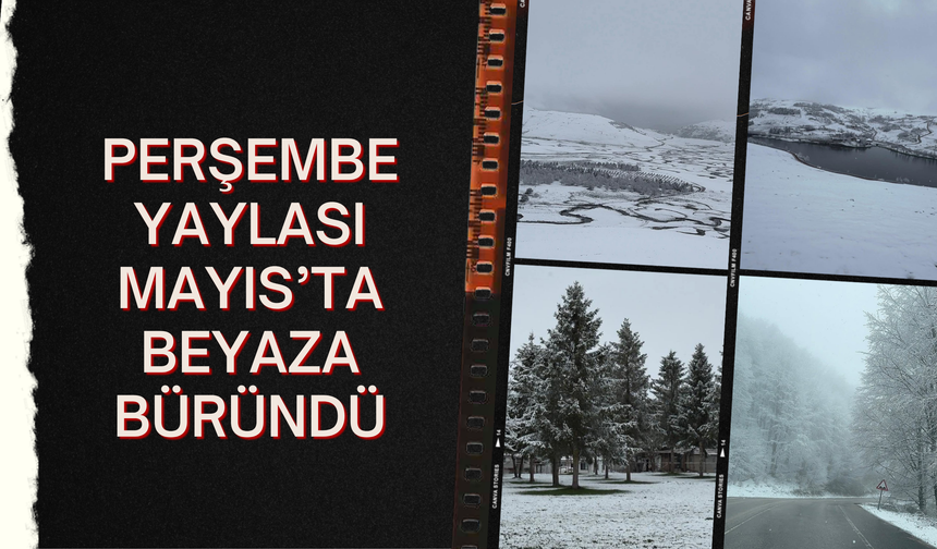 Perşembe Yaylası Mayıs’ta Beyaza Büründü