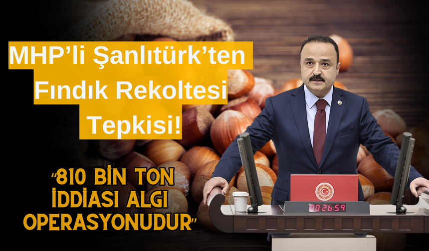 MHP’li Şanlıtürk’ten Fındık Rekoltesi Tepkisi: “810 Bin Ton İddiası Algı Operasyonudur”