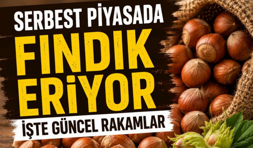 Serbest Piyasada Fındık Eriyor: İşte Güncel Rakamlar