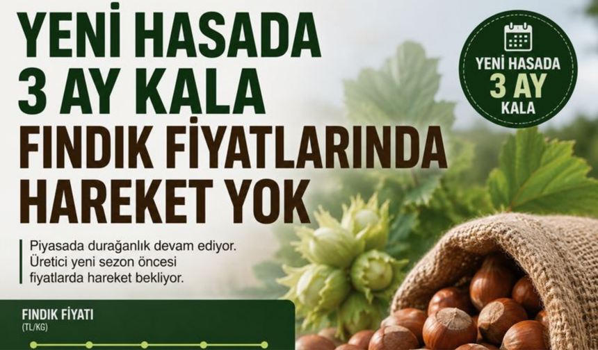 Yeni Hasada 3 Ay Kala Fındık Fiyatlarında Hareket Yok