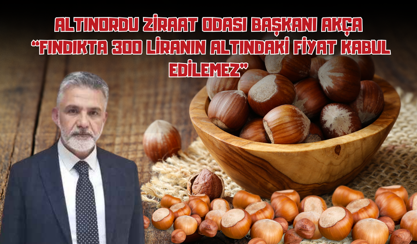 Altınordu Ziraat Odası Başkanı Akça: “Fındıkta 300 Liranın Altındaki Fiyat Kabul Edilemez”