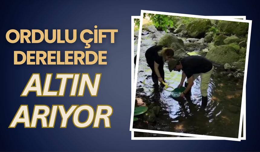 Ordulu Çift Derelerde Altın Arıyor
