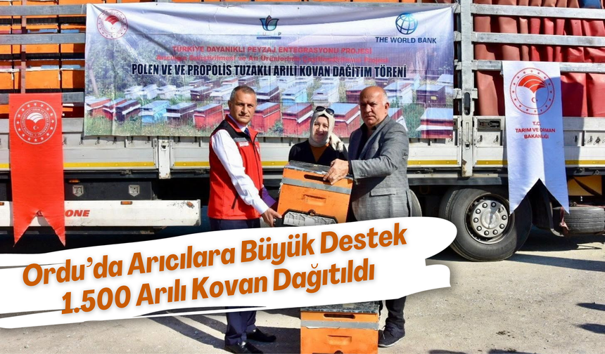 Ordu’da Arıcılara Büyük Destek: 1.500 Arılı Kovan Dağıtıldı