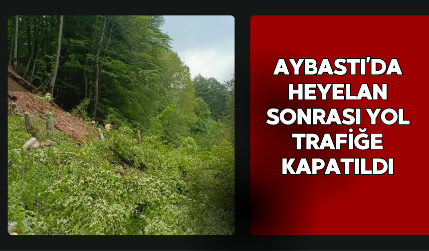 Aybastı’da Heyelan Sonrası Yol Trafiğe Kapatıldı