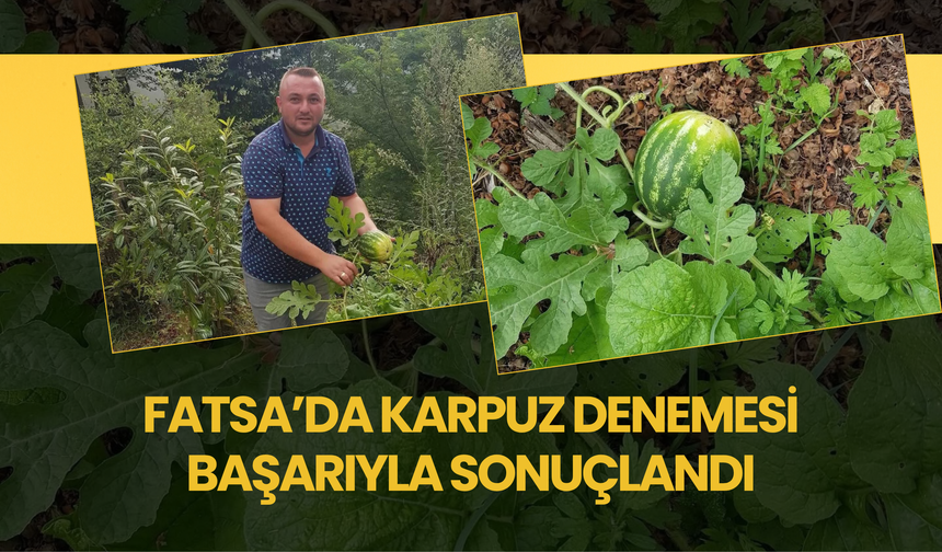 Fatsa’da Karpuz Denemesi Başarıyla Sonuçlandı